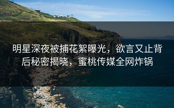 明星深夜被捕花絮曝光，欲言又止背后秘密揭晓，蜜桃传媒全网炸锅