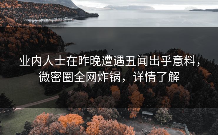 业内人士在昨晚遭遇丑闻出乎意料,微密圈全网炸锅,详情了解 业内人士在昨晚遭遇丑闻出乎意料,微密圈全网炸锅,详情了解