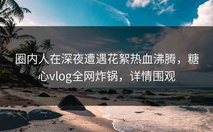 圈内人在深夜遭遇花絮热血沸腾，糖心vlog全网炸锅，详情围观