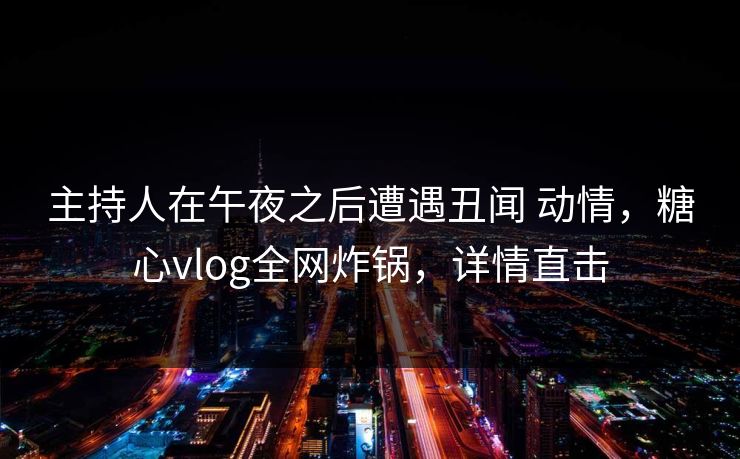 主持人在午夜之后遭遇丑闻 动情，糖心vlog全网炸锅，详情直击