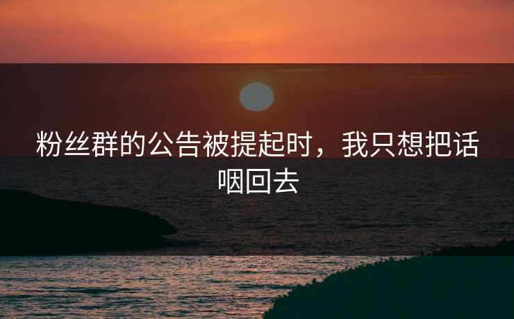粉丝群的公告被提起时，我只想把话咽回去