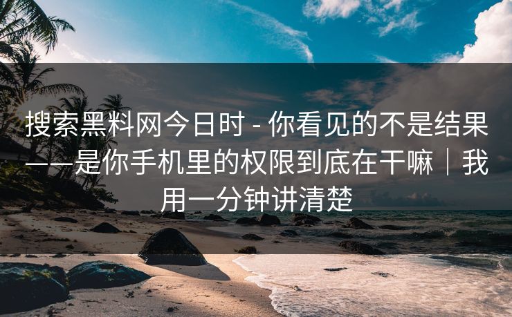 搜索黑料网今日时 - 你看见的不是结果——是你手机里的权限到底在干嘛｜我用一分钟讲清楚