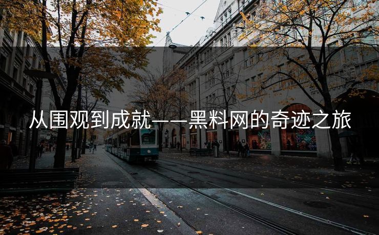 从围观到成就——黑料网的奇迹之旅